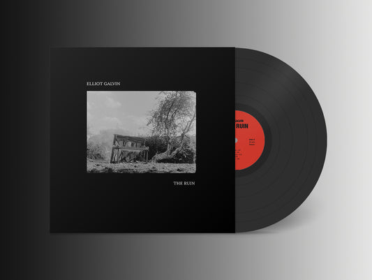 Elliot Galvin - 'The Ruin' Vinyl LP