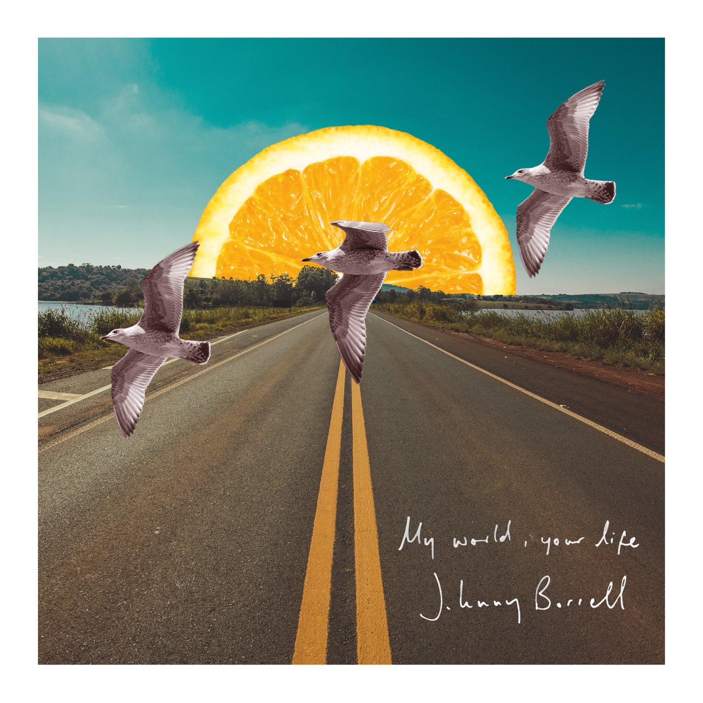 Johnny Borrell - 'My World, Your Life' 7" Vinyl Single