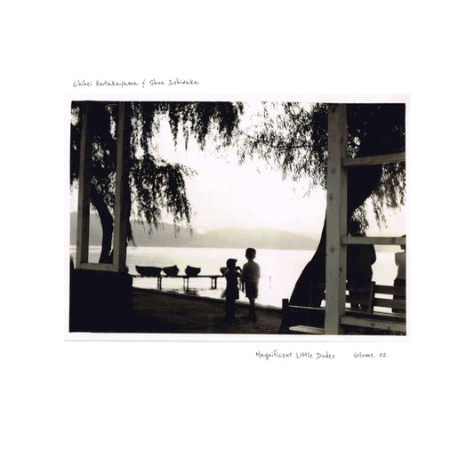 Chihei Hatakeyama & Shun Ishiwaka - 'Magnificent Little Dudes vol. 2' Vinyl LP