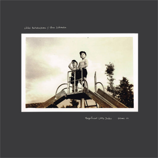 Chihei Hatakeyama & Shun Ishiwaka - 'Magnificent Little Dudes vol. 1' CD
