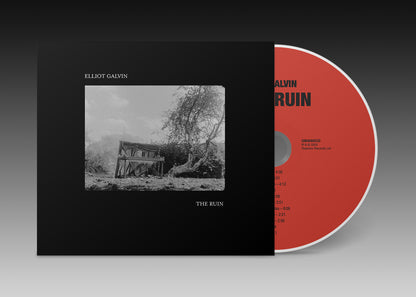 Elliot Galvin - 'The Ruin' Vinyl CD