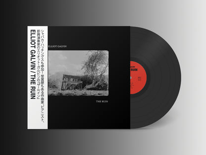 Elliot Galvin - 'The Ruin' Vinyl LP