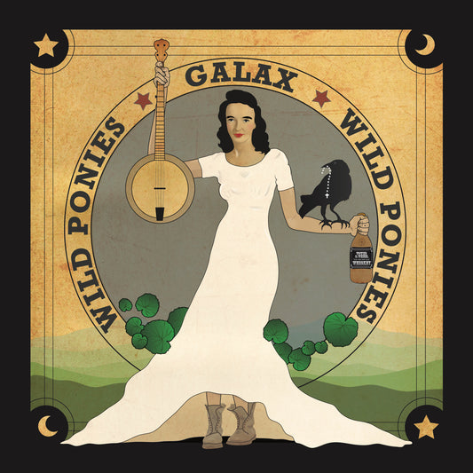 Wild Ponies - 「Galax」アナログLP