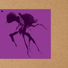 【事前購入】 佐藤奈々子　「A Rolling Stone From Heaven」12インチ・ダブプレート（世界限定10枚）