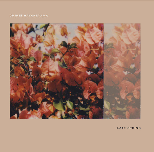Chihei Hatakeyama - 'Late Spring' Japanese Edition Vinyl LP