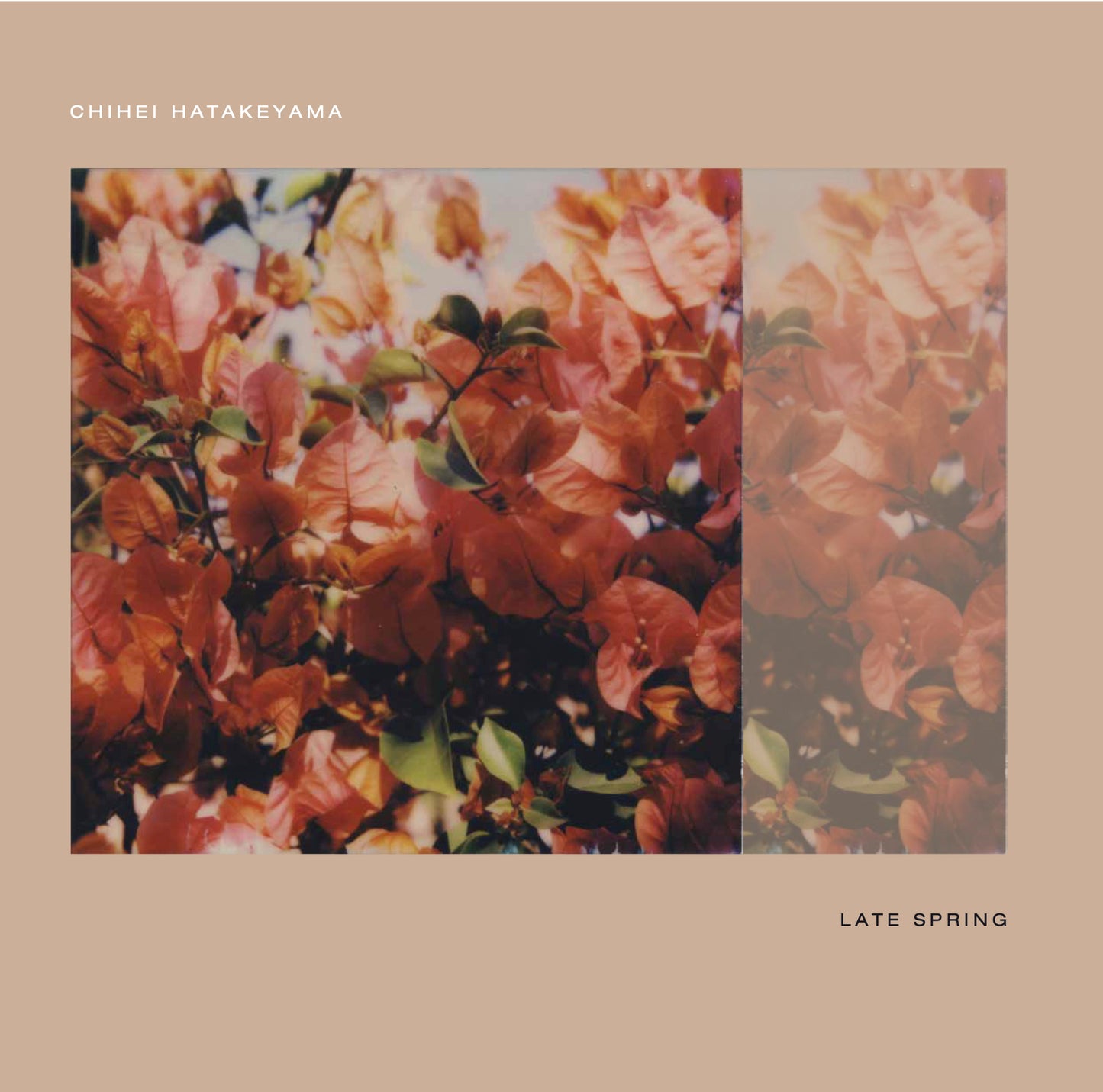 Chihei Hatakeyama - 'Late Spring' Japanese Edition CD