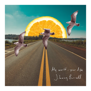 Johnny Borrell - 'My World, Your Life' 7" Vinyl Single