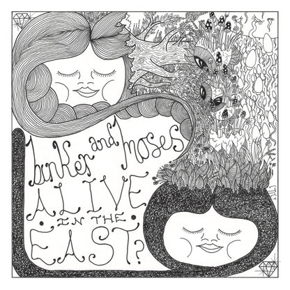 Binker and Moses - 'Alive in the East?' Standard Vinyl LP