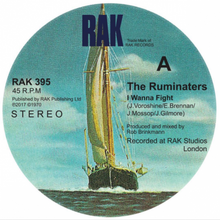 The Ruminaters -  7" single
